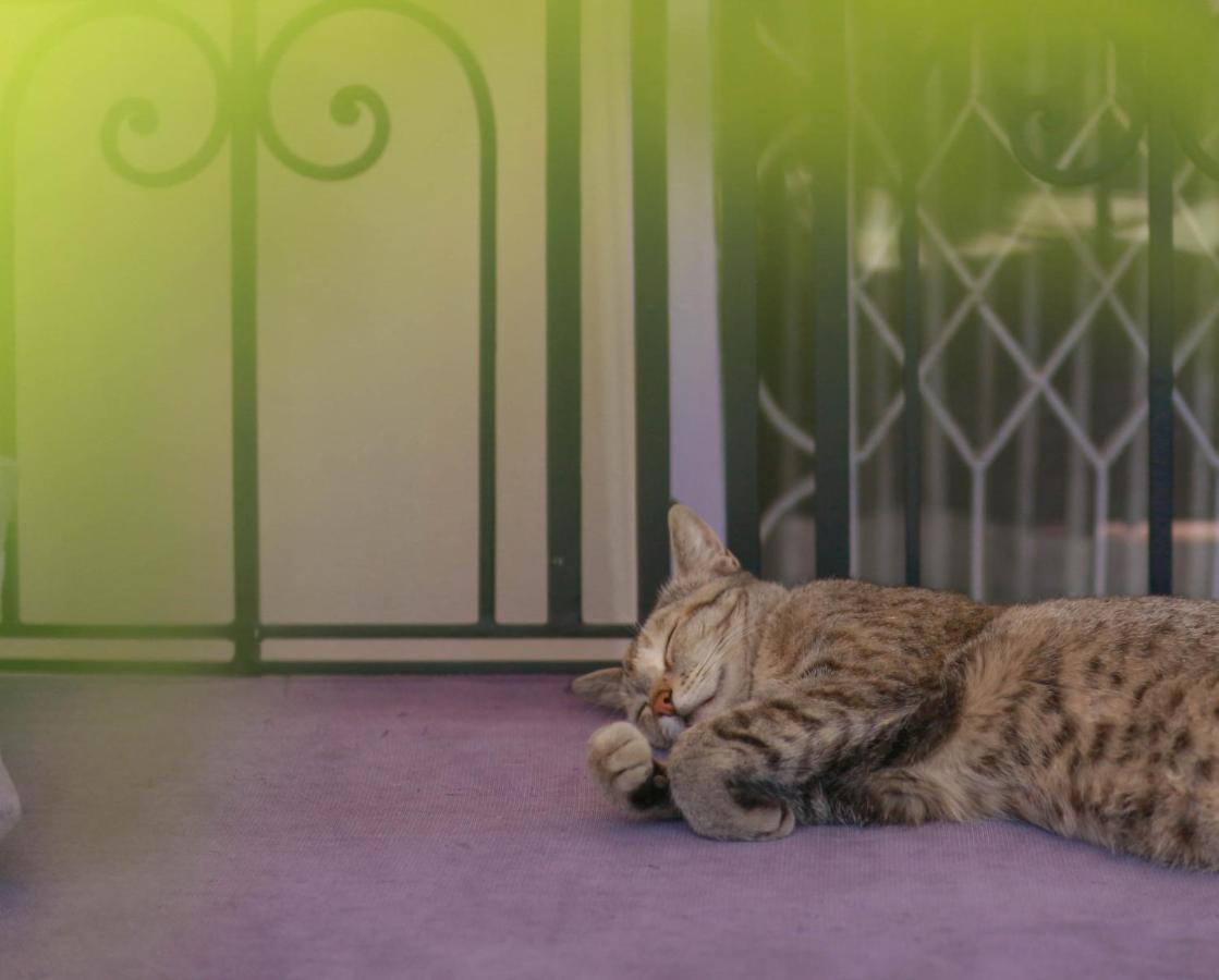 Kibu Home Katmandu Kültér fotó